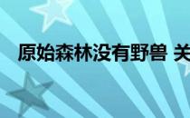 原始森林没有野兽 关于原始森林没有野兽