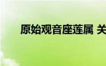 原始观音座莲属 关于原始观音座莲属