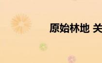 原始林地 关于原始林地
