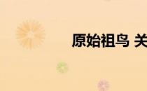 原始祖鸟 关于原始祖鸟
