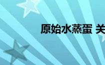 原始水蒸蛋 关于原始水蒸蛋