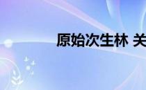 原始次生林 关于原始次生林