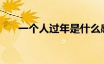 一个人过年是什么感受（一个人过年）
