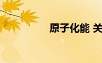 原子化能 关于原子化能