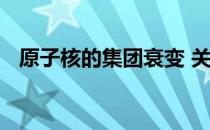 原子核的集团衰变 关于原子核的集团衰变