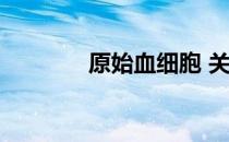 原始血细胞 关于原始血细胞