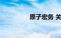 原子宏务 关于原子宏务