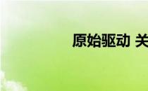 原始驱动 关于原始驱动