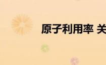原子利用率 关于原子利用率