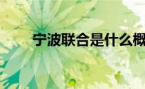 宁波联合是什么概念股（宁波联合）