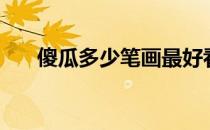 傻瓜多少笔画最好看（傻瓜多少笔画）