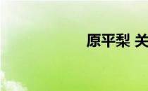 原平梨 关于原平梨