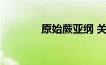 原始蕨亚纲 关于原始蕨亚纲