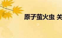 原子萤火虫 关于原子萤火虫