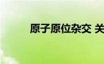 原子原位杂交 关于原子原位杂交