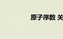 原子序数 关于原子序数