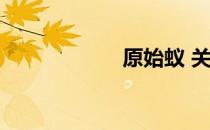 原始蚁 关于原始蚁
