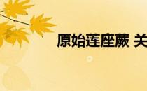 原始莲座蕨 关于原始莲座蕨