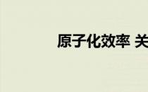 原子化效率 关于原子化效率