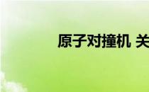 原子对撞机 关于原子对撞机