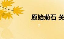 原始菊石 关于原始菊石