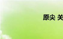 原尖 关于原尖