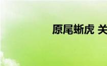 原尾蜥虎 关于原尾蜥虎
