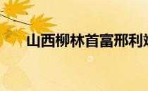 山西柳林首富邢利斌（山西柳林首富）
