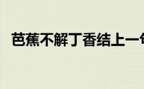 芭蕉不解丁香结上一句（芭蕉不解丁香结）
