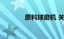 原料球磨机 关于原料球磨机