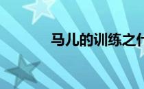 马儿的训练之什么是间歇训练