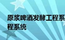 原浆啤酒发酵工程系统 关于原浆啤酒发酵工程系统