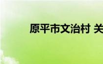 原平市文治村 关于原平市文治村