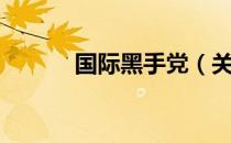 国际黑手党（关于国际黑手党）