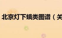 北京灯下蛾类图谱（关于北京灯下蛾类图谱）