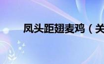 凤头距翅麦鸡（关于凤头距翅麦鸡）
