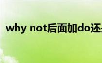 why not后面加do还是doing（why not）