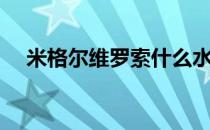 米格尔维罗索什么水平（米格尔维罗索）