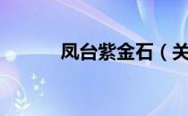 凤台紫金石（关于凤台紫金石）