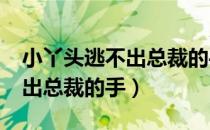 小丫头逃不出总裁的手txt下载（小丫头逃不出总裁的手）