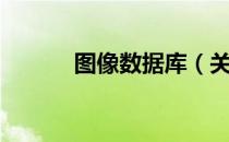 图像数据库（关于图像数据库）