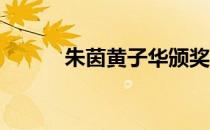 朱茵黄子华颁奖（朱茵 黄子华）