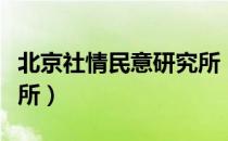 北京社情民意研究所（关于北京社情民意研究所）