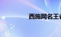 西施网名王者（西施网）