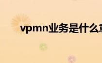 vpmn业务是什么意思（vpmn业务）