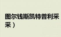 图尔钱斯凯特普利采（关于图尔钱斯凯特普利采）
