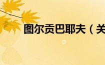 图尔贡巴耶夫（关于图尔贡巴耶夫）