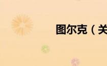 图尔克（关于图尔克）