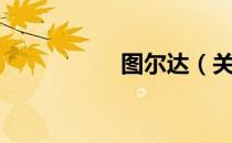 图尔达（关于图尔达）