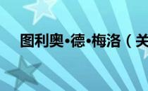 图利奥·德·梅洛（关于图利奥·德·梅洛）